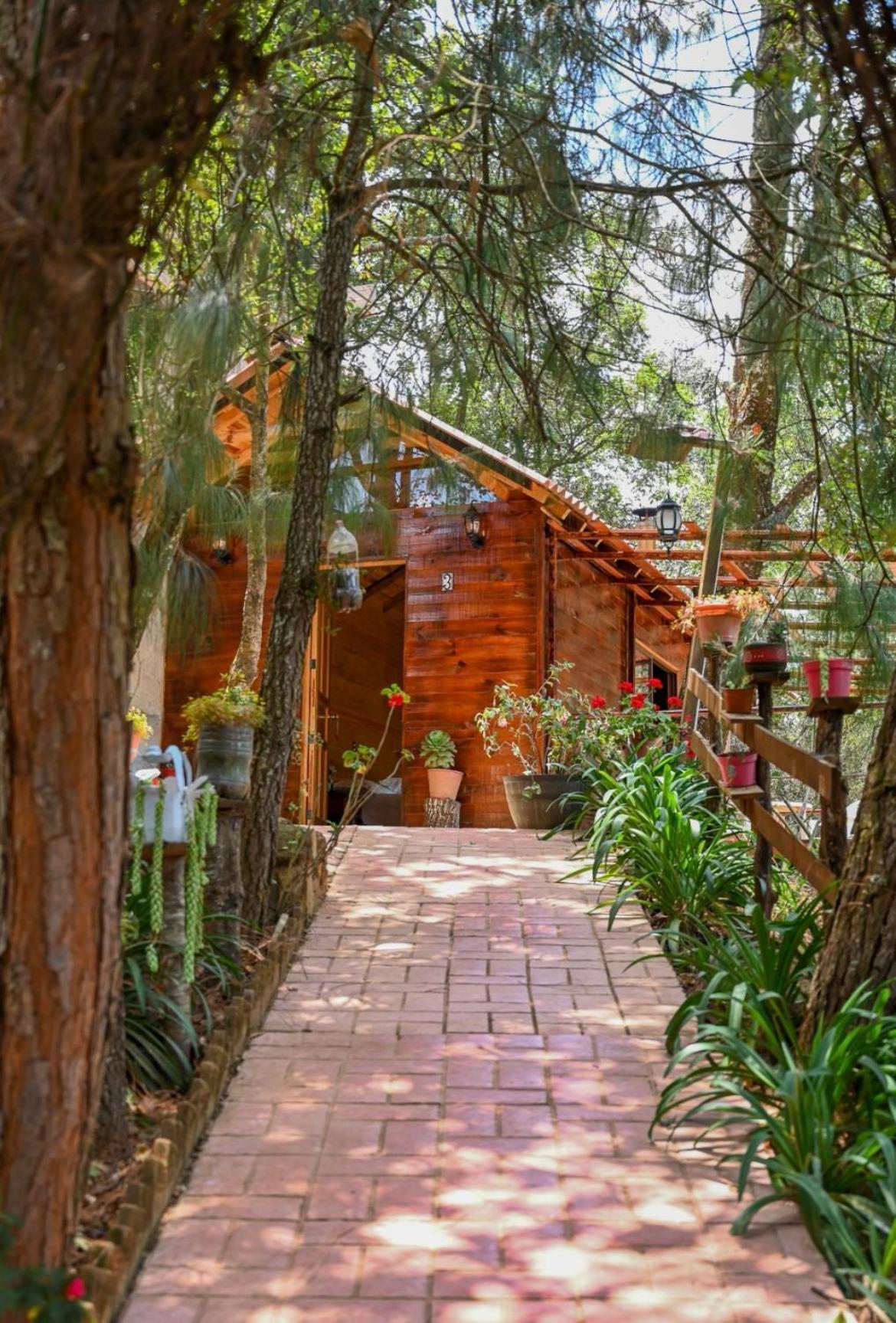 San Jose Del Pacifico- Cabanas Camino Al Cielo 3 Exterior foto